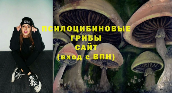 COCAINE Карпинск